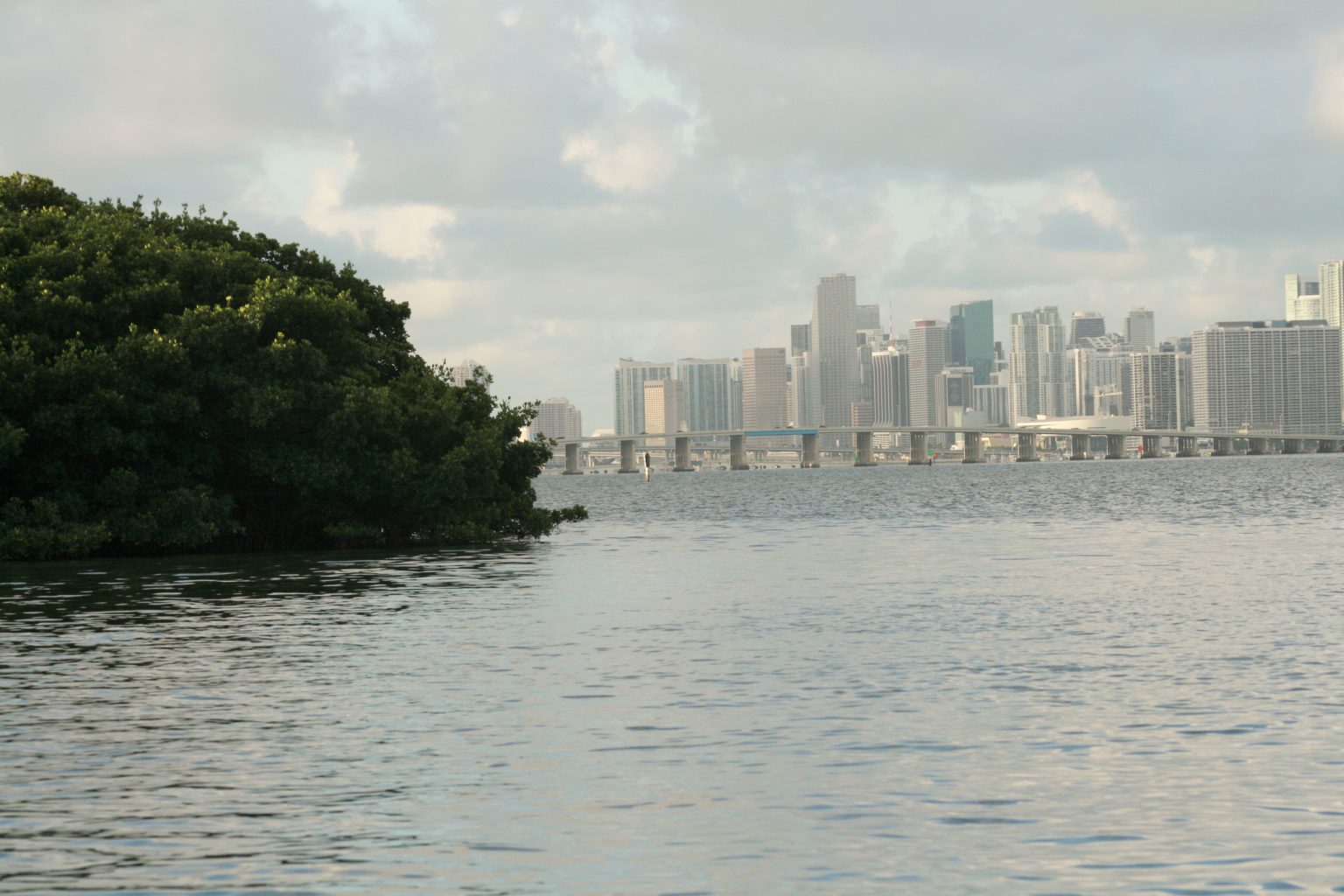 Florida's Coral Reef